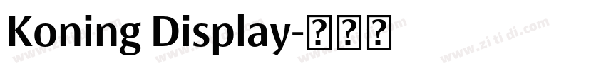 Koning Display字体转换